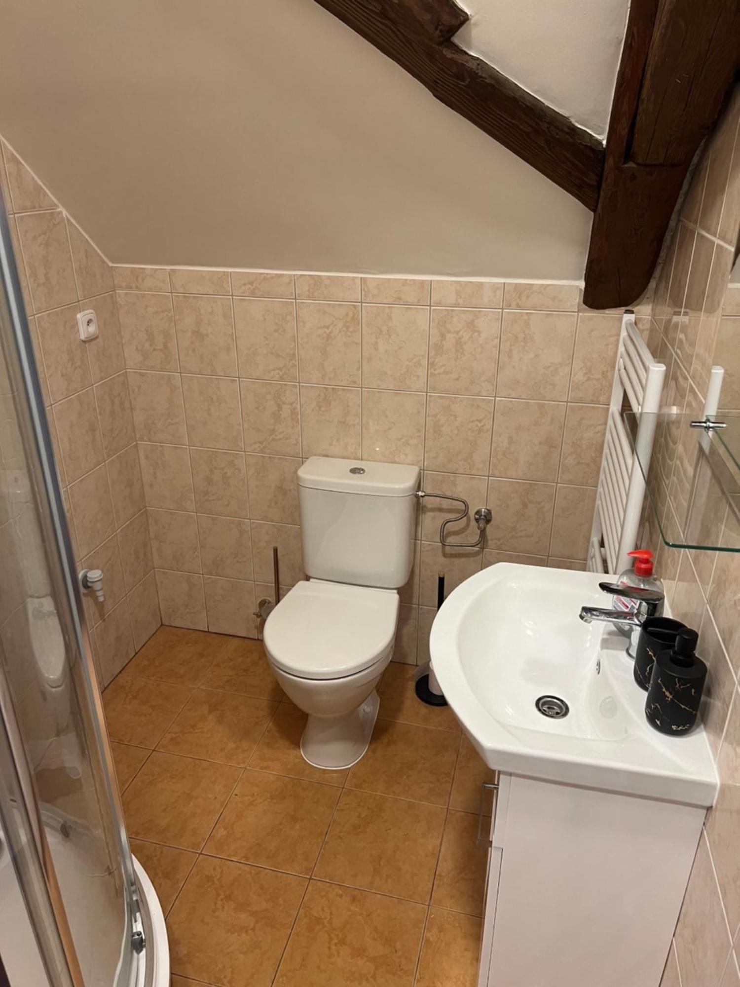 Ubytovani 1Kk Ve Zlonicich Slany Exterior photo